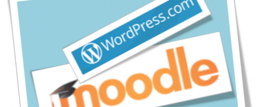 Homework solving website